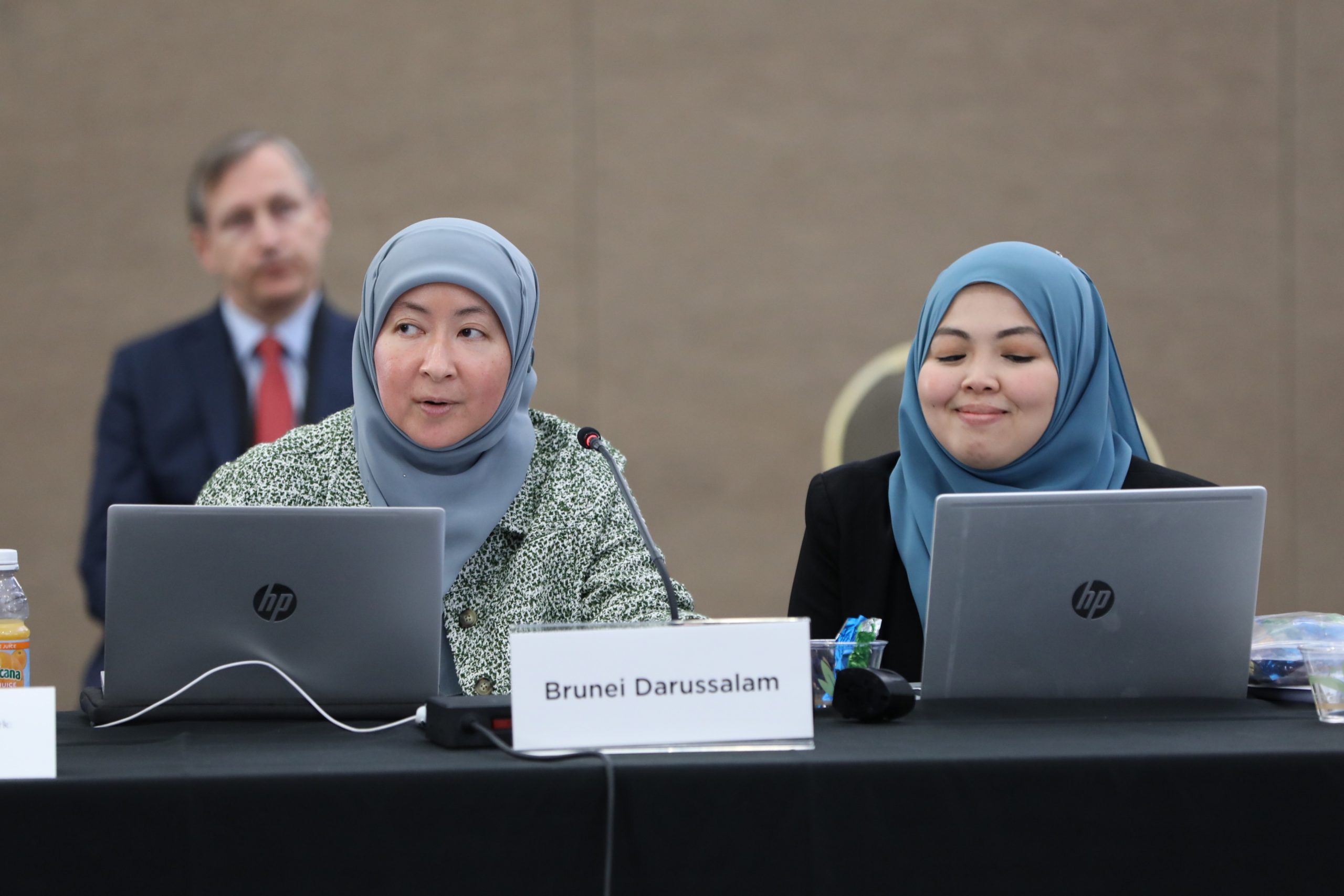 Brunei may be small but we have a voice in APEC